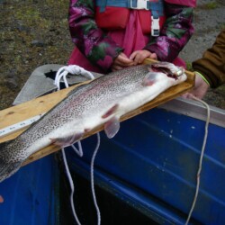 Fishing